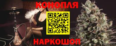 mdpv Краснознаменск