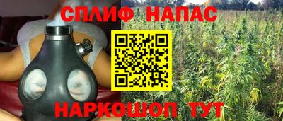 прущие грибы Кумертау