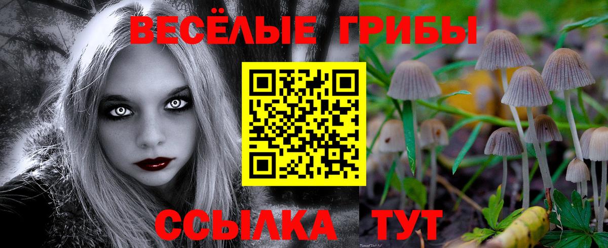 Галлюциногенные грибы прущие грибы  Вход с VPN  Десногорск 